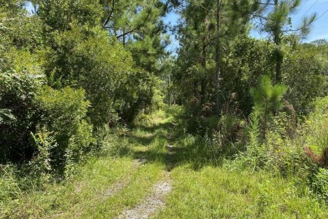 Terrain à Palatka, Floride № 2386679