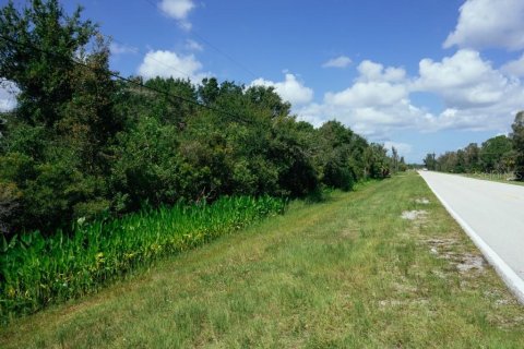 Terrain à vendre à Punta Gorda, Floride № 2322729 - photo 4