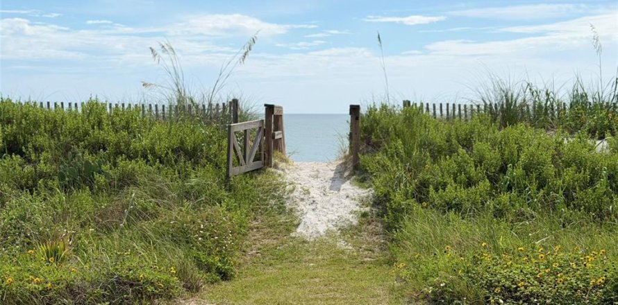Terrain à Flagler Beach, Floride № 2219093