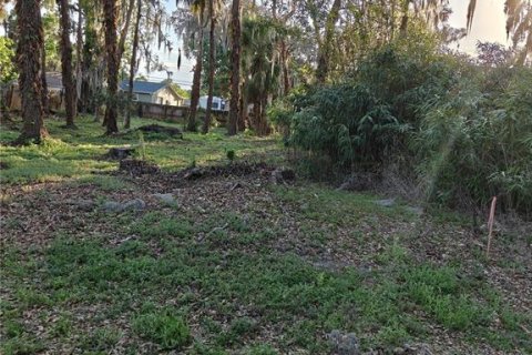 Land in Edgewater, Florida № 2106444