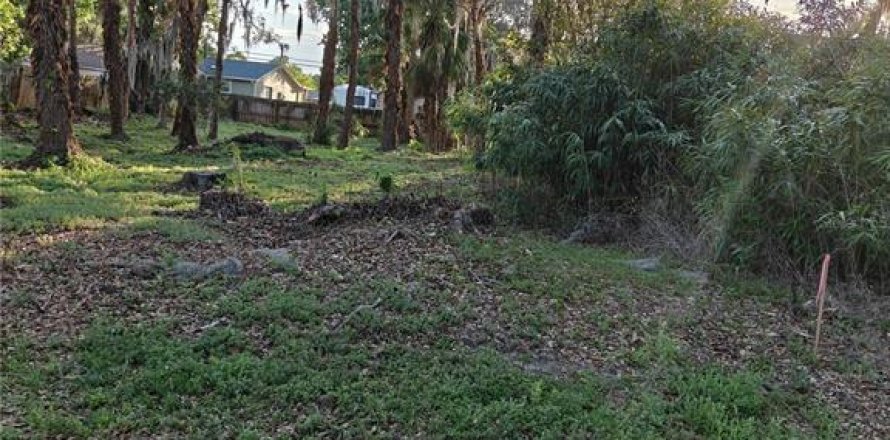 Land in Edgewater, Florida № 2106444