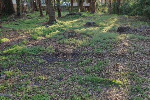 Land in Edgewater, Florida № 2106444 - photo 3