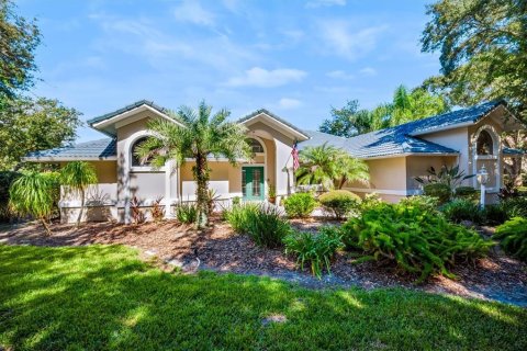 Villa ou maison à vendre à Palm Coast, Floride: 3 chambres, 230.77 m2 № 2424029 - photo 5