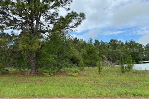 Land in Ocala, Florida № 1776628 - photo 1