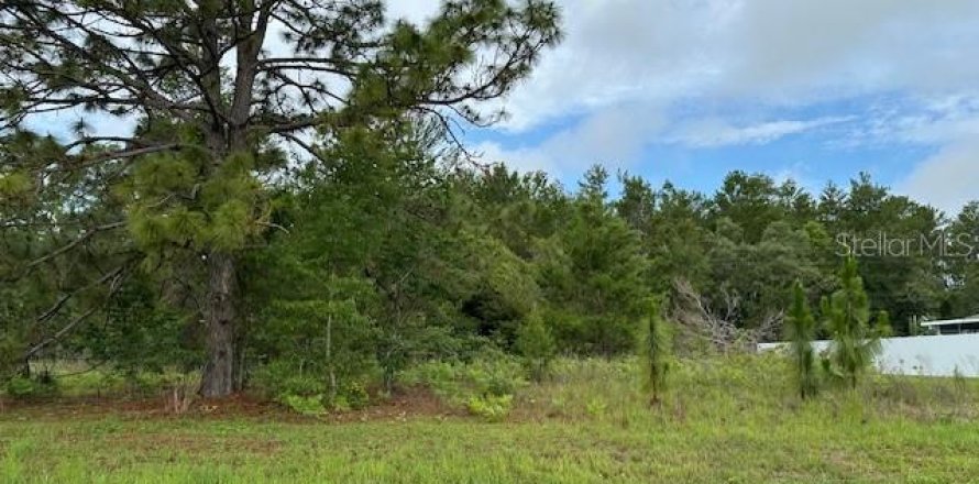 Land in Ocala, Florida № 1776628