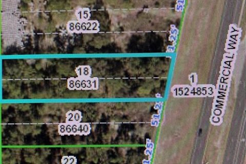Land in Weeki Wachee, Florida № 451933 - photo 1