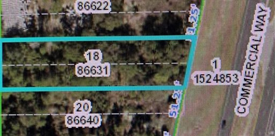 Land in Weeki Wachee, Florida № 451933