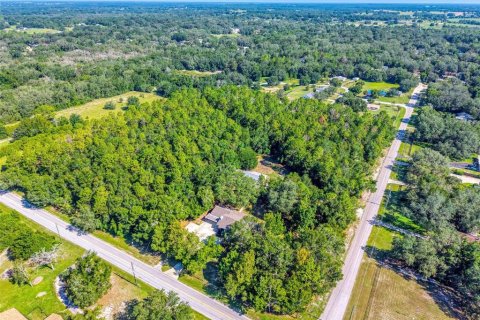 Casa en venta en Lady Lake, Florida, 5 dormitorios, 283.82 m2 № 1851269 - foto 9