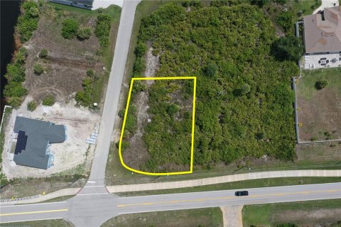 Land in Port Charlotte, Florida № 2403243