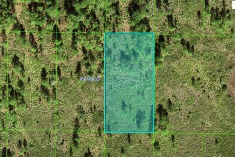 Terreno en Lake Wales, Florida № 2164026