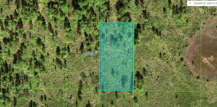 Terreno en Lake Wales, Florida № 2164026