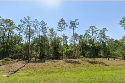 Terreno en venta en Lake Wales, Florida № 2164026 - foto 3
