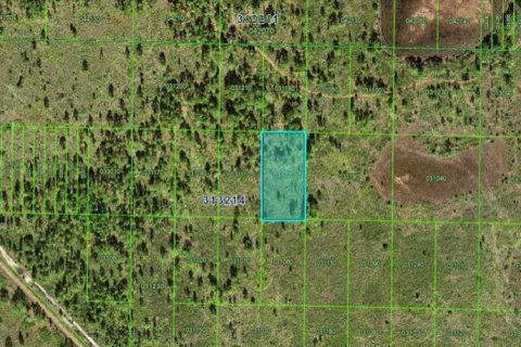 Terreno en venta en Lake Wales, Florida № 2164026 - foto 2