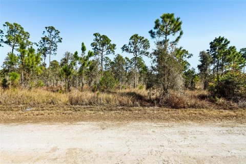 Land in Punta Gorda, Florida № 2159504