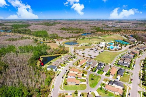 Casa en venta en Land O' Lakes, Florida, 5 dormitorios, 350.52 m2 № 2321192 - foto 18