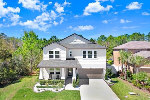 Casa en venta en Land O' Lakes, Florida, 5 dormitorios, 350.52 m2 № 2321192 - foto 12