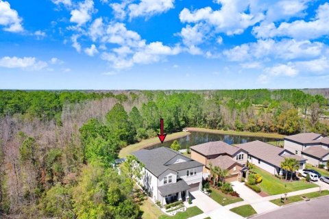 Casa en venta en Land O' Lakes, Florida, 5 dormitorios, 350.52 m2 № 2321192 - foto 13