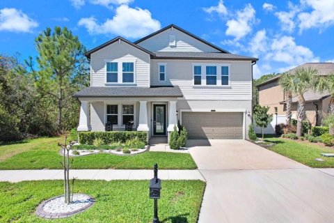 House in CONNERTON

 in Land O' Lakes, Florida 5 bedrooms, 350.52 sq.m. № 2321192