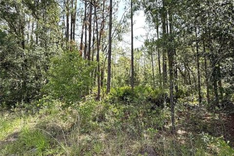 Land in Frostproof, Florida № 2163412 - photo 7