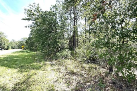 Land in Frostproof, Florida № 2163412 - photo 3