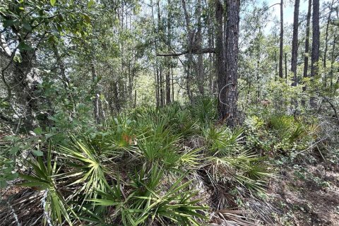Land in Frostproof, Florida № 2163412 - photo 6