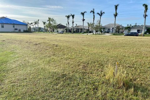 Land in Punta Gorda, Florida № 1409490 - photo 14