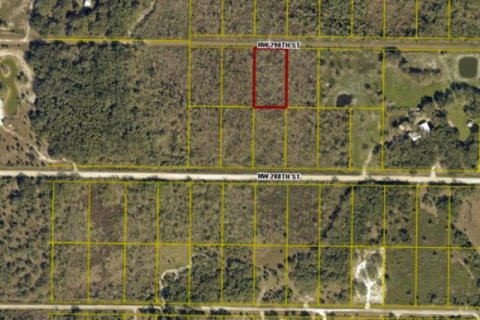 Immobilier commercial à vendre à Okeechobee, Floride № 2376907 - photo 3