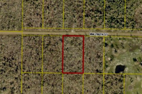Immobilier commercial à vendre à Okeechobee, Floride № 2376907 - photo 2