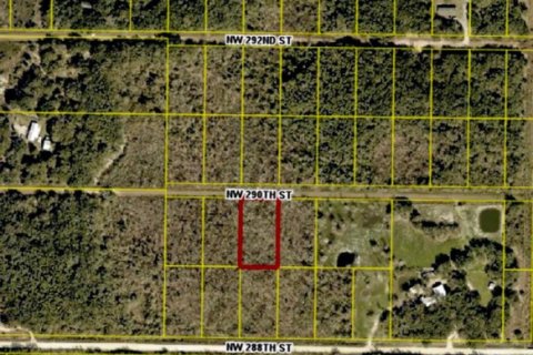Immobilier commercial à Okeechobee, Floride № 2376907
