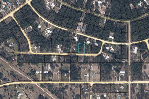 Terreno en venta en Keystone Heights, Florida № 2162128 - foto 3