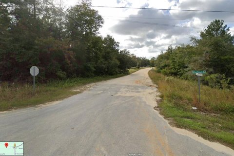 Terreno en venta en Keystone Heights, Florida № 2162128 - foto 7