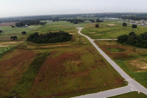 Terreno en Thonotosassa, Florida № 2308799