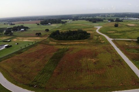 Terreno en venta en Thonotosassa, Florida № 2308799 - foto 3