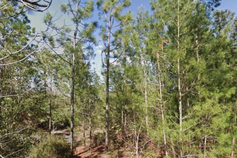 Land in Interlachen, Florida № 2162684