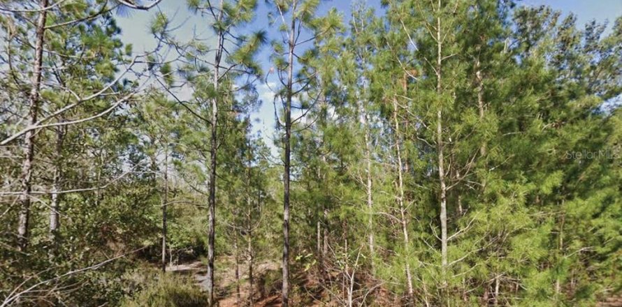 Land in Interlachen, Florida № 2162684