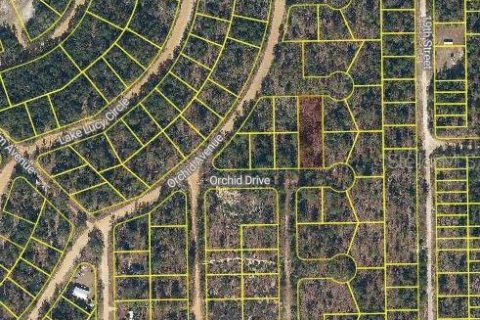 Land in Interlachen, Florida № 2162684 - photo 2