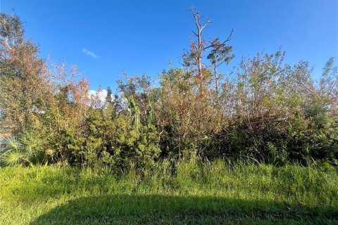 Land in Port Charlotte, Florida № 2160071