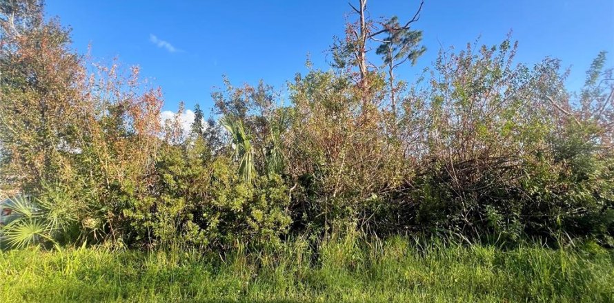Land in Port Charlotte, Florida № 2160071