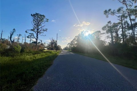 Land in Port Charlotte, Florida № 2160071 - photo 2