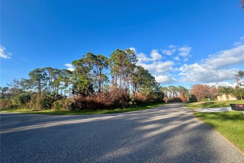 Land in Port Charlotte, Florida № 2160071 - photo 3