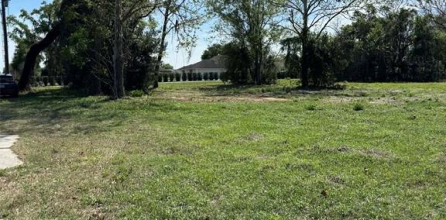 Terreno en Groveland, Florida № 2155567