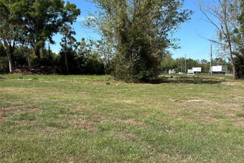 Terreno en venta en Groveland, Florida № 2155567 - foto 2