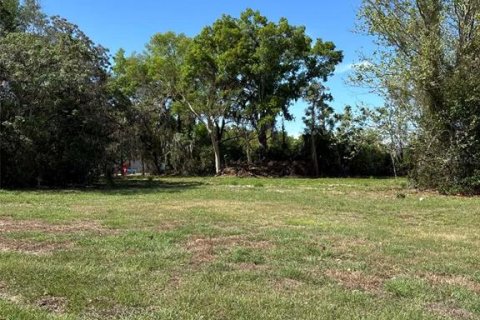 Terreno en venta en Groveland, Florida № 2155567 - foto 3