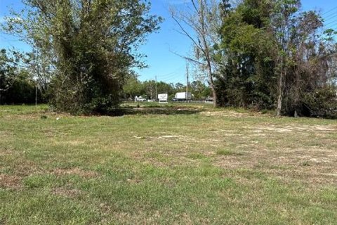 Terreno en venta en Groveland, Florida № 2155567 - foto 6
