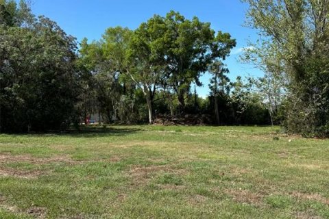Terreno en venta en Groveland, Florida № 2155567 - foto 4