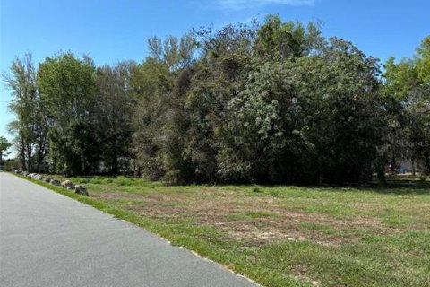 Terreno en venta en Groveland, Florida № 2155567 - foto 5