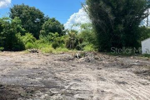 Land in Punta Gorda, Florida № 2163810