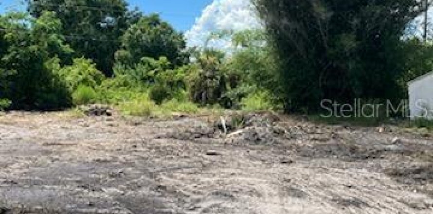 Land in Punta Gorda, Florida № 2163810