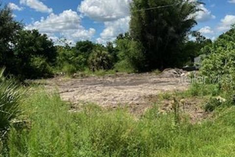 Land in Punta Gorda, Florida № 2163810 - photo 4