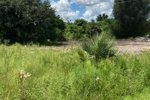 Land in Punta Gorda, Florida № 2163810 - photo 2